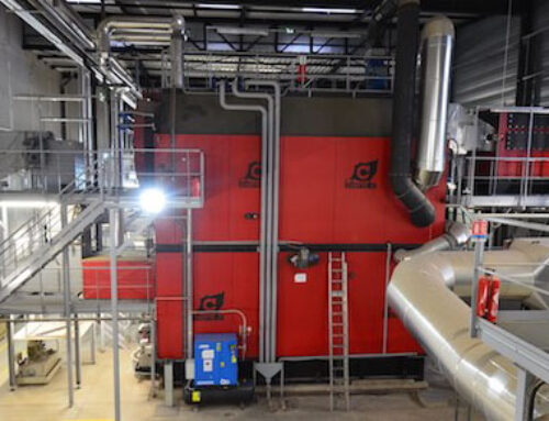 BOIS FACTORY 70 DEMANGEVELLE (70)
